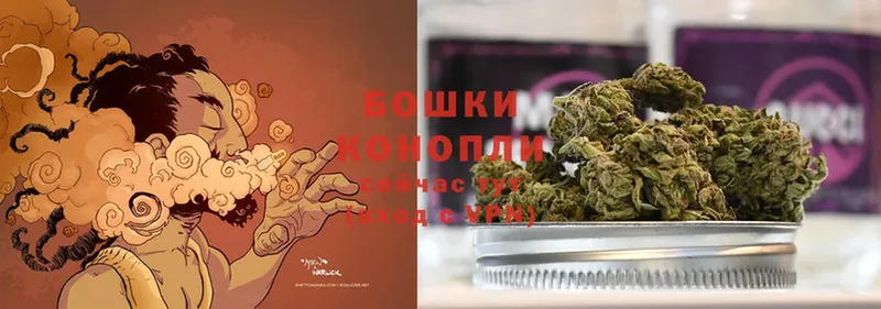 где продают наркотики  Старая Русса  Бошки марихуана LSD WEED 